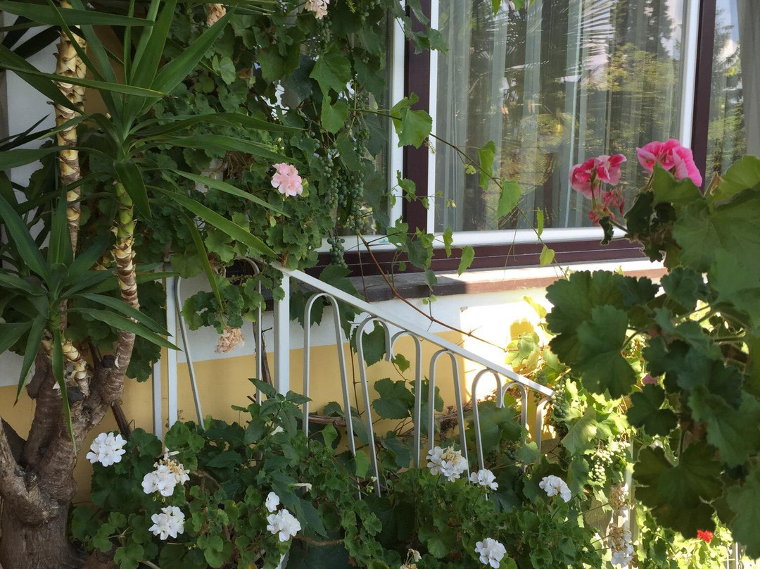 Hotel Nikolasch主图