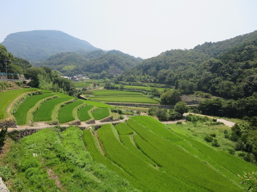 Shodo-shima旅游攻略图片