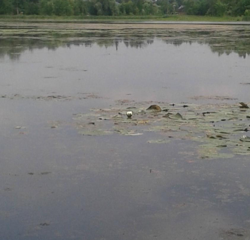 Elora Cataract Trailway-伊劳拉必去景点