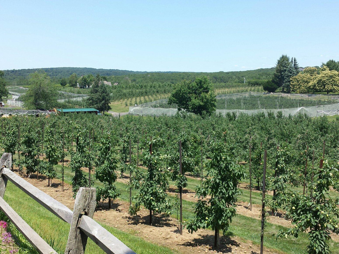 Belltown Hill Orchards-South Glastonbury必去景点