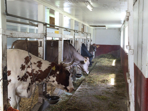 Heidi Farm-长沼町必去景点