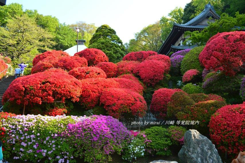 Tougakuin Temple-川崎市必去景点