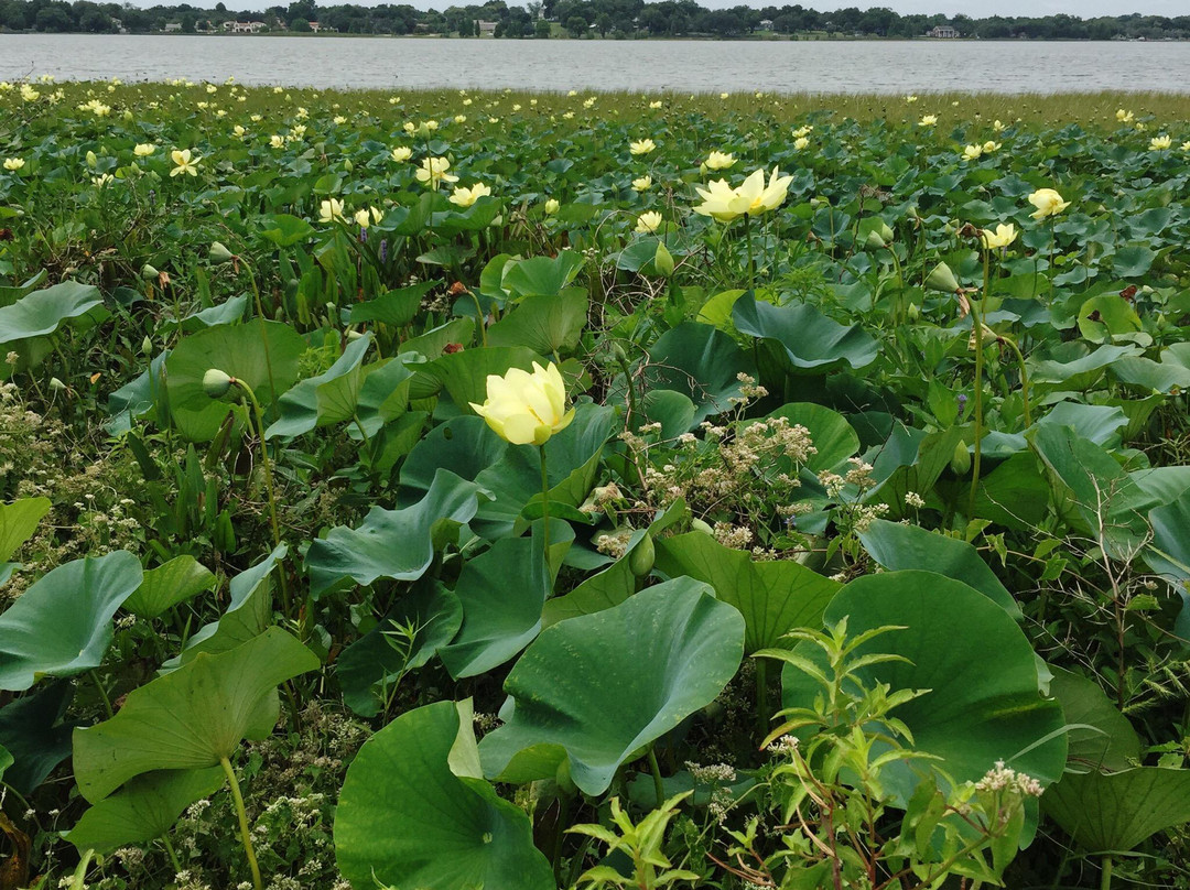 Lake Hollingsworth-莱克兰必去景点