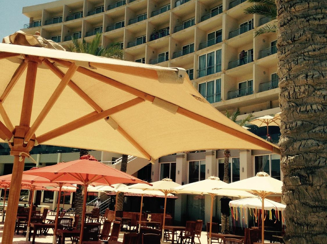 Izbat Al Kubaniyyah餐馆和美食-La Piazza