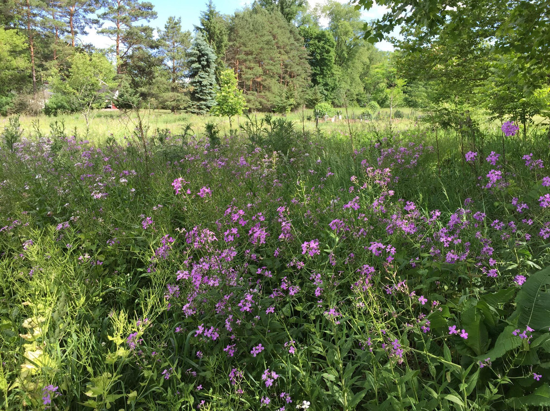 Millbrook Marsh Nature Center-宾夕法尼亚州学院必去景点