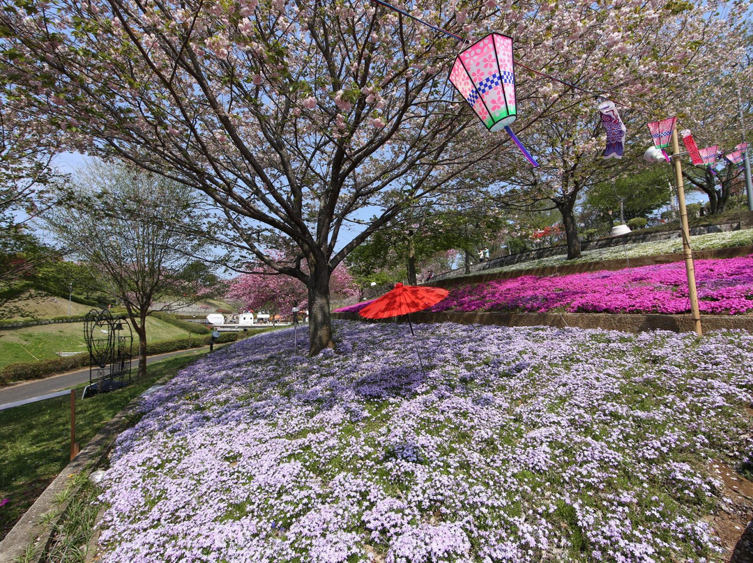 Shizumine Furusato Park景点图片