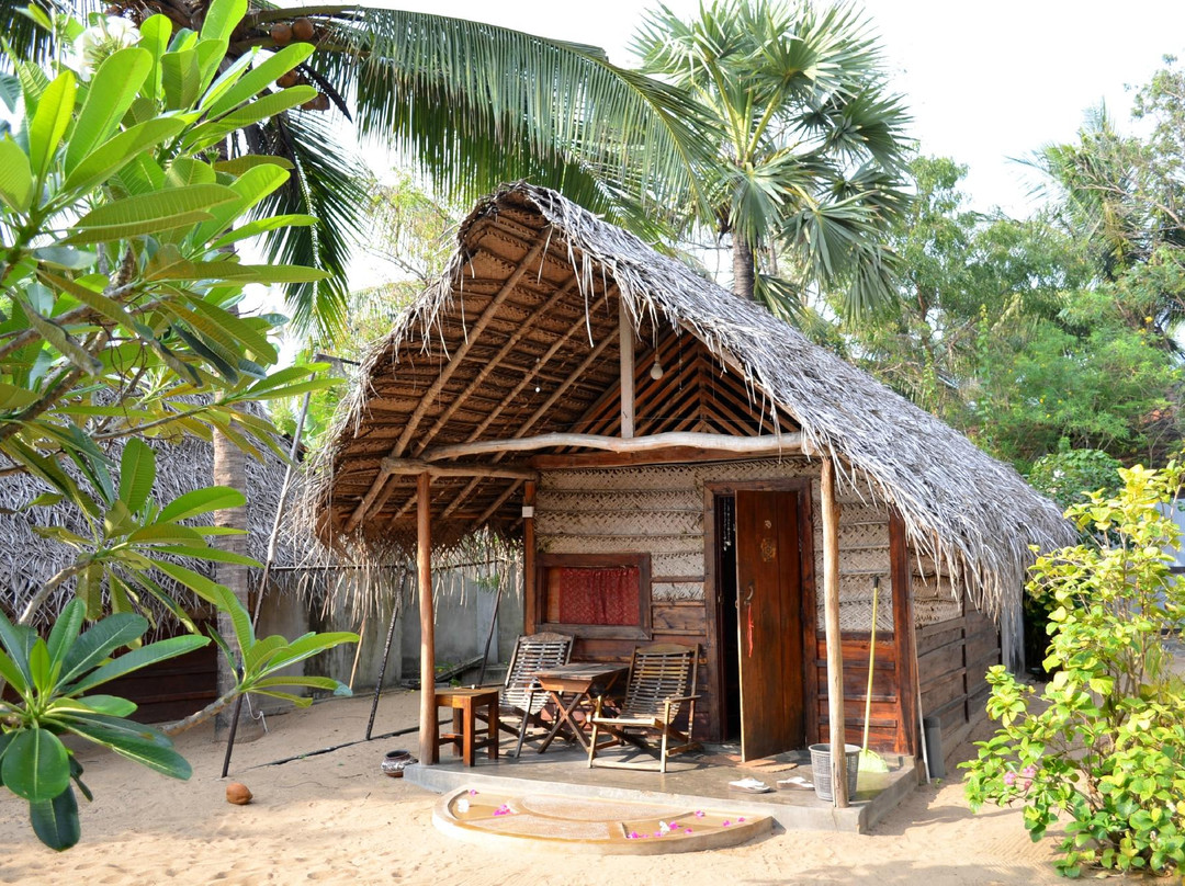 The Folly Arugambay