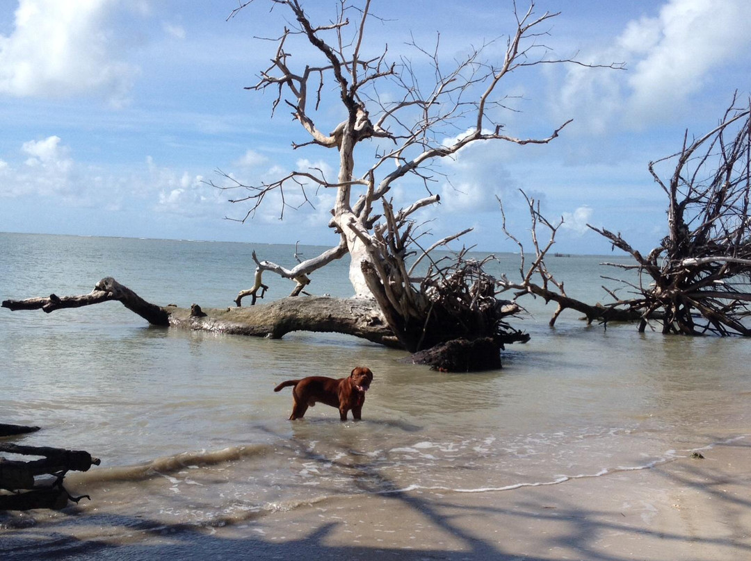 Mangue Riders-莫罗圣保罗必去景点