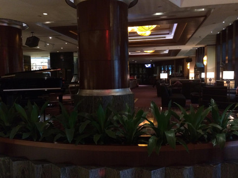 东莞海悦花园大酒店（厚街万达广场寮厦地铁站店）主图