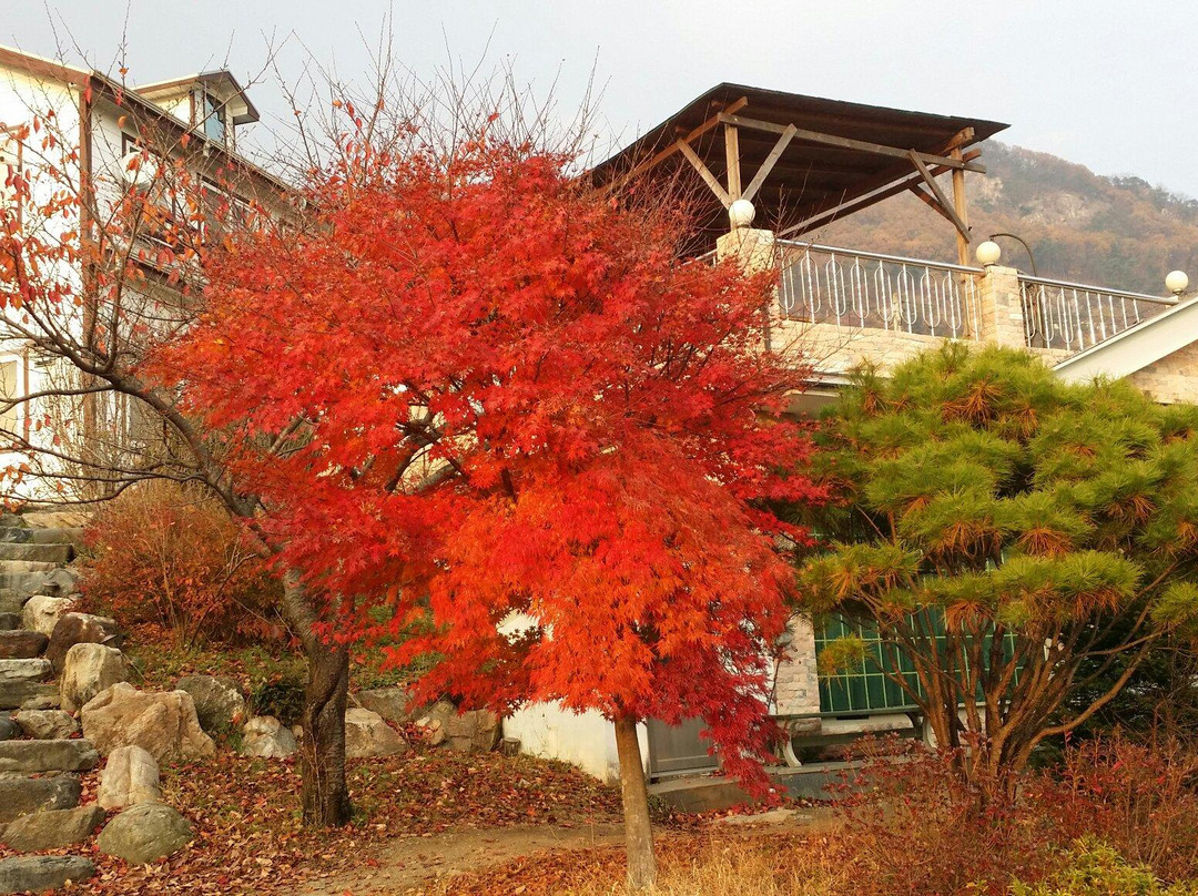 Korea Music Park-杨平郡必去景点