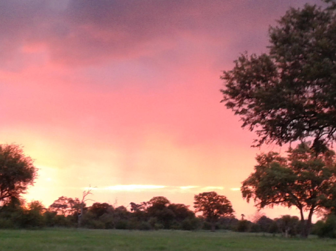 Hwange National Park景点图片