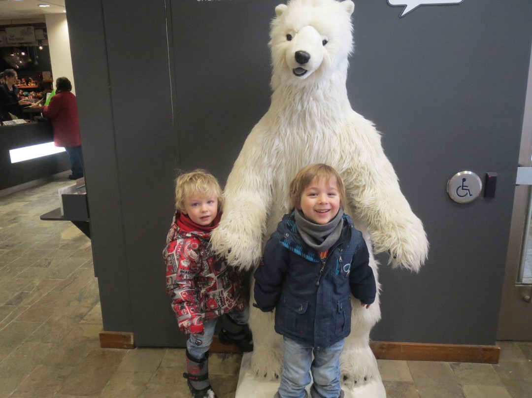 Musee de la nature et des sciences-舍布鲁克必去景点