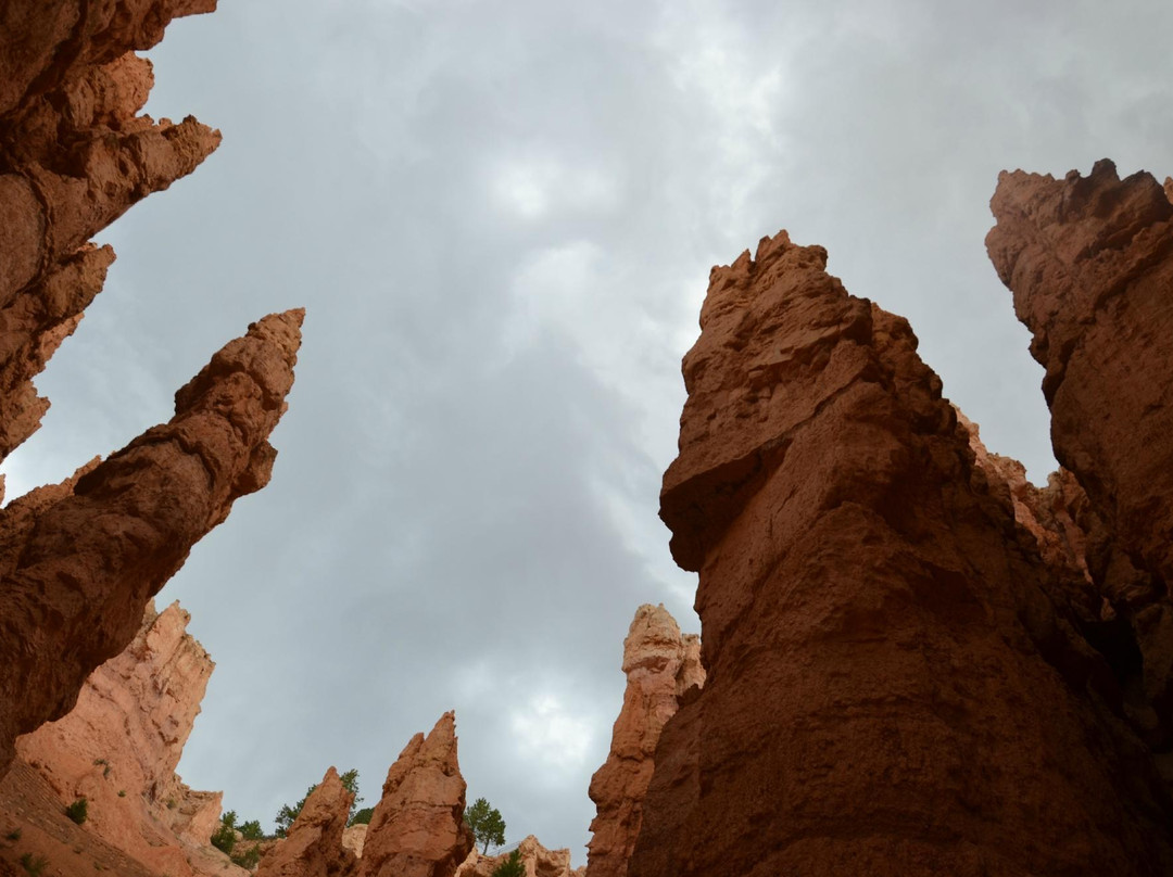 Zion National Park Rides-特罗皮克必去景点