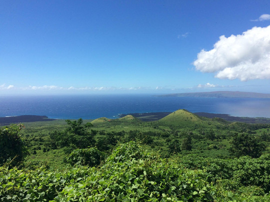 Maui Adventure Tours-海库必去景点
