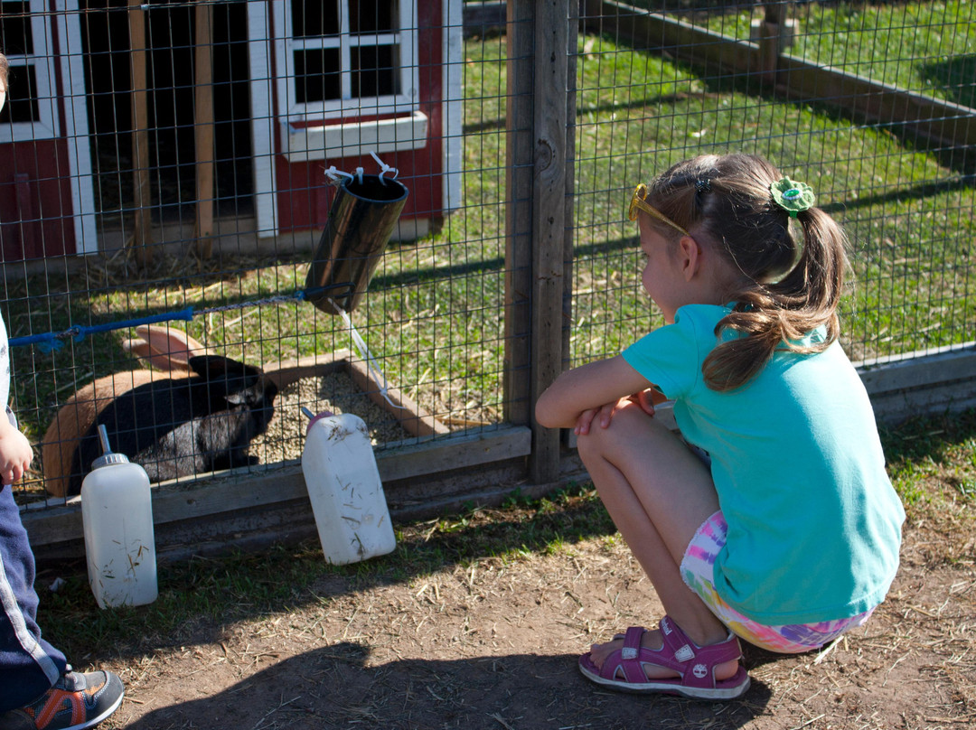 Frootogo Orchards-Waterdown必去景点