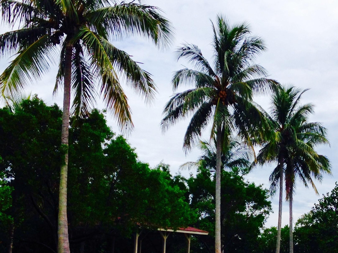 Burt Reynolds Park-朱庇特必去景点