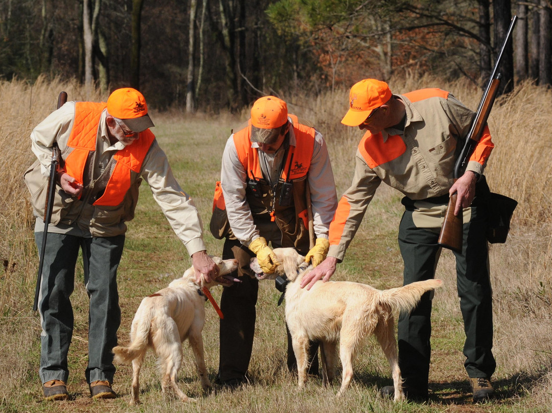 Burnt Pine Plantation-Newborn必去景点