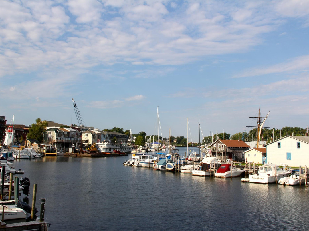 MichiMonaMac Lakeshore Cottages