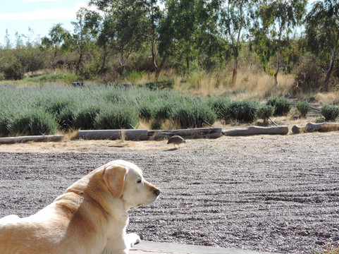 Chacra el refugio-马德林港必去景点