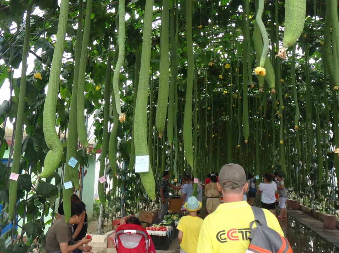 集发农业观光园-秦皇岛市必去景点