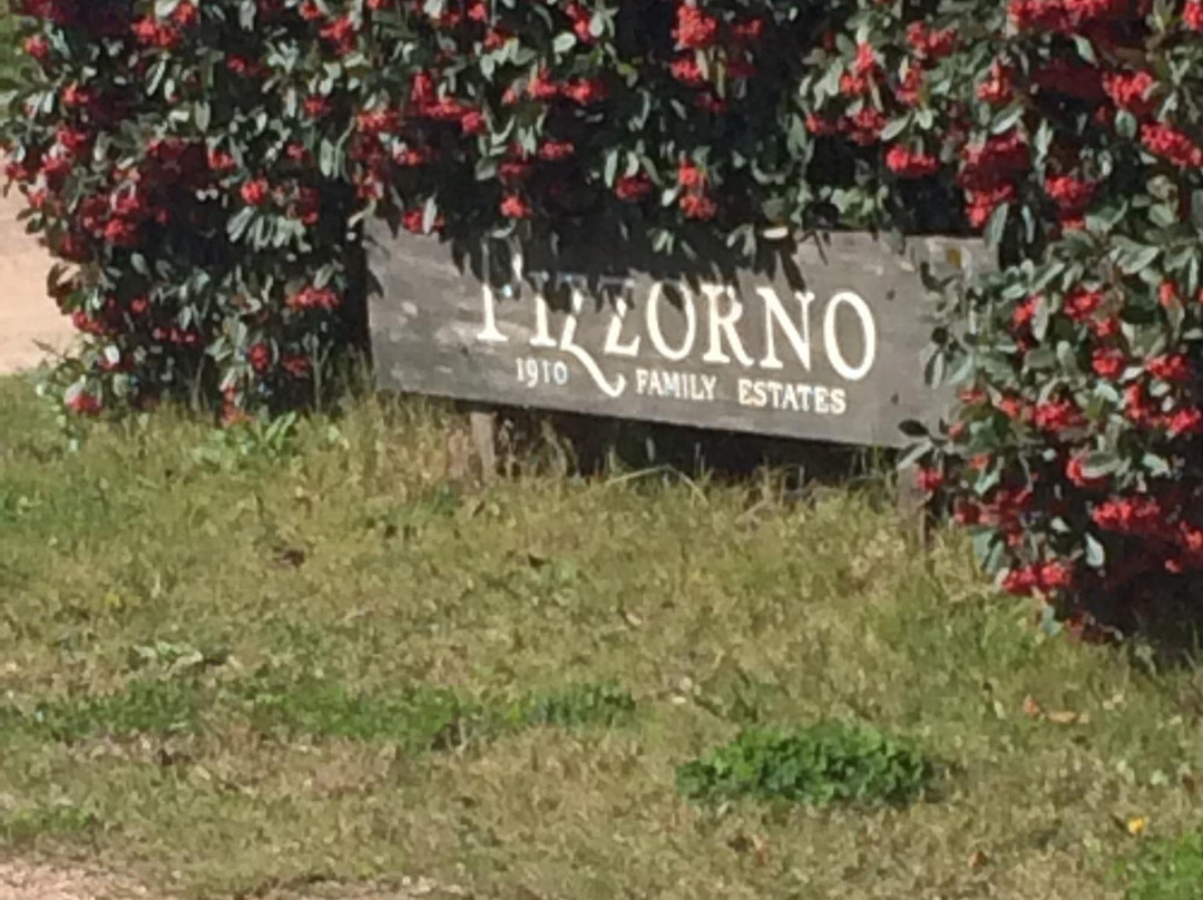 Pizzorno Family Estates-Canelones必去景点