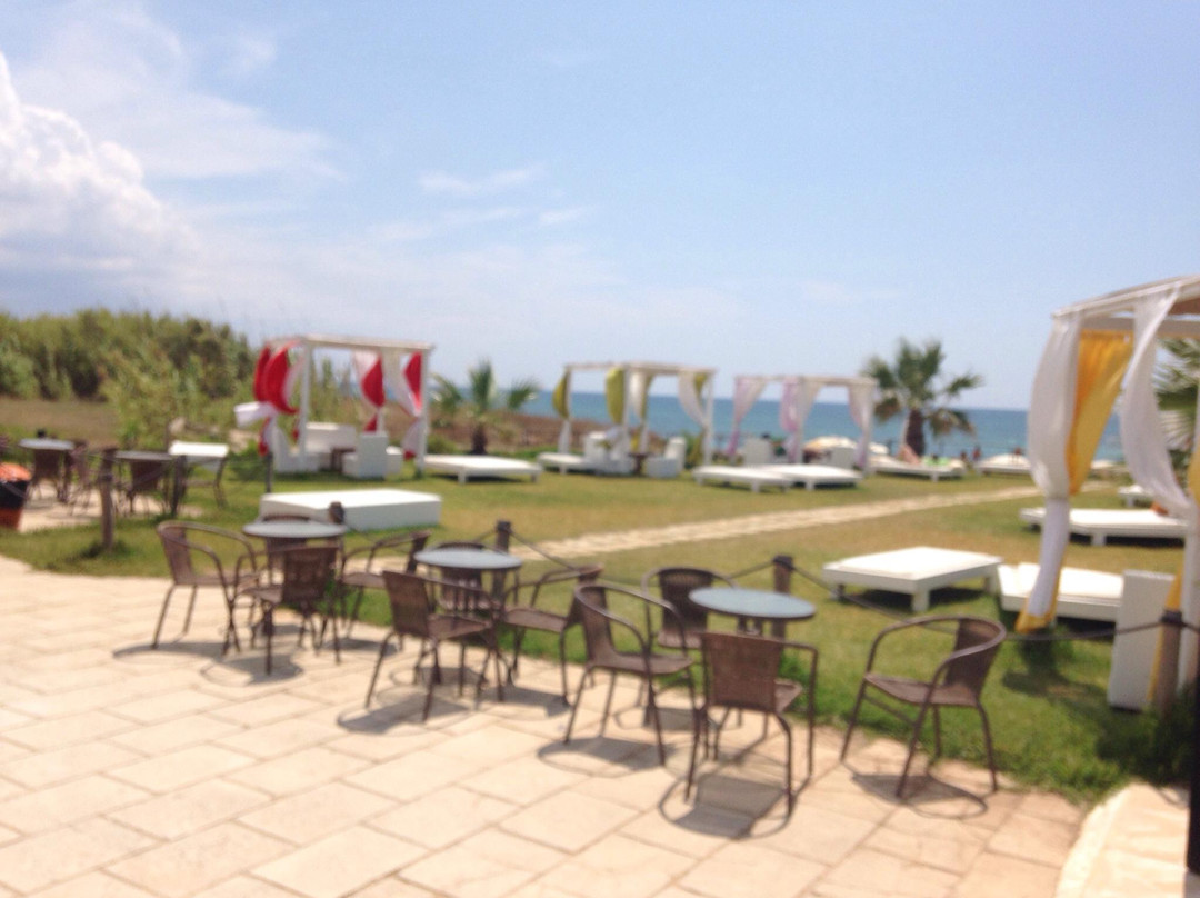 Bossa Nova Restaurant