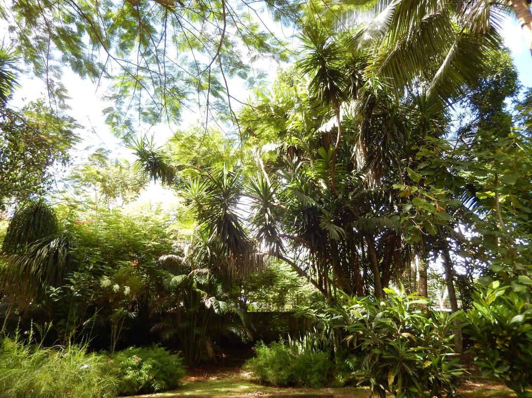 Jardin Botanique de Coconi-Ouangani必去景点