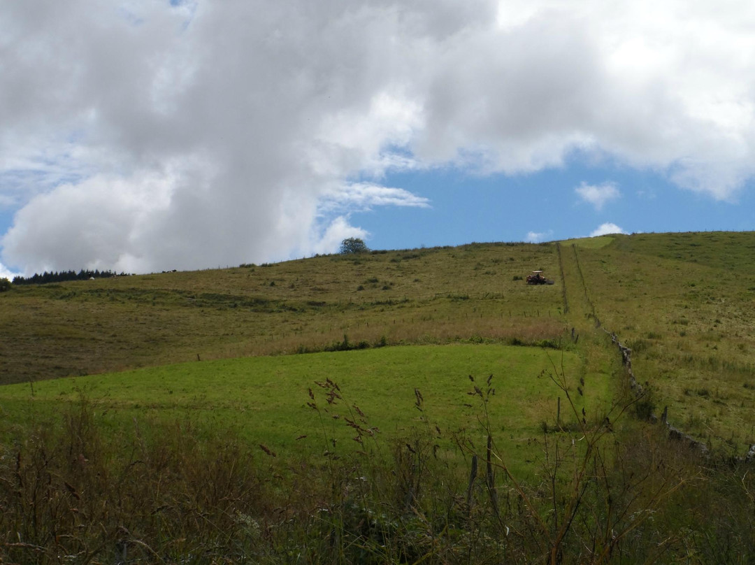 B&B Ai Tre Larici主图