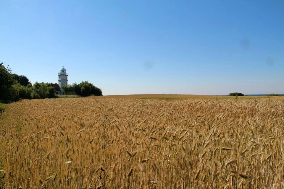 Hunting on Vejrø-Torrig必去景点