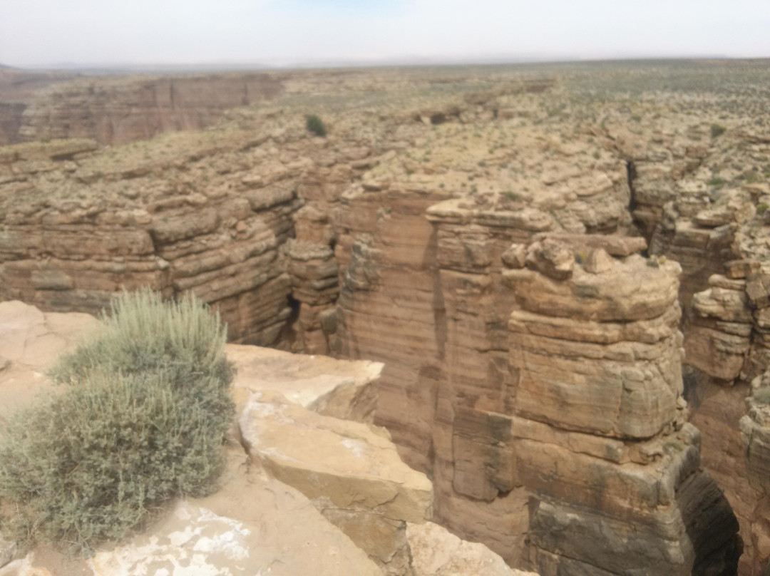 Little Colorado River Gorge-卡梅隆必去景点
