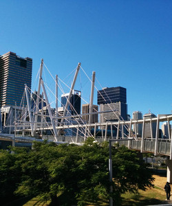 Kurilpa Bridge景点门票图片