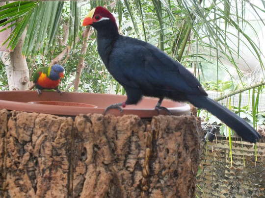 慕尼黑动物园-慕尼黑必去景点