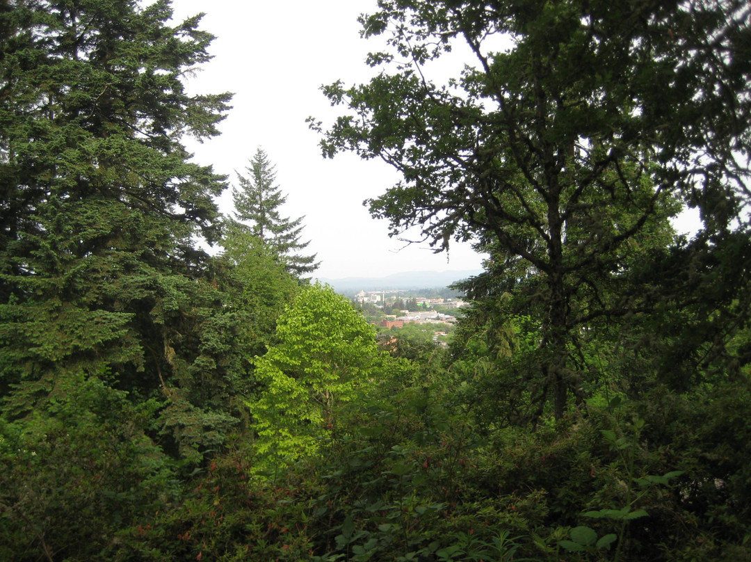 Hendricks Park-尤金必去景点