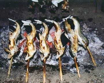 奥久慈だいご観光やな