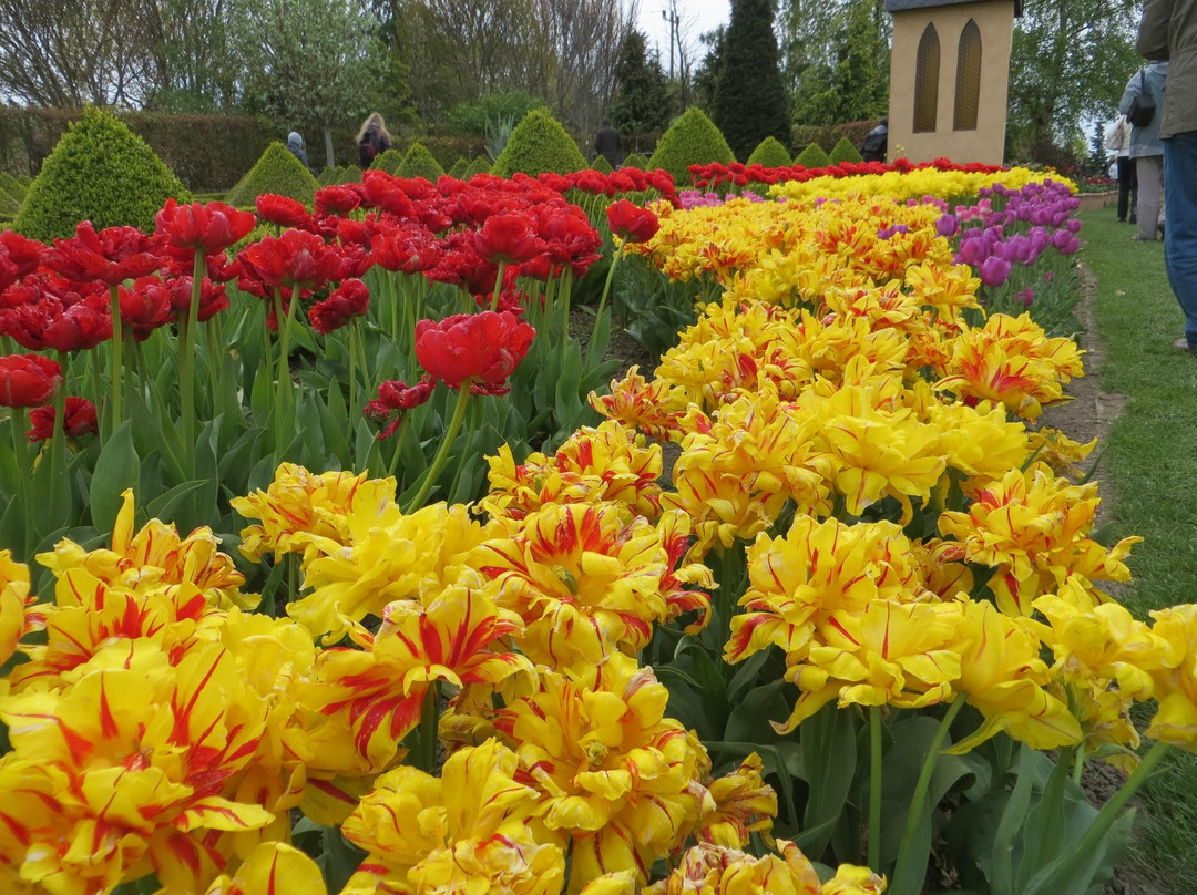 Theme Gardens Hortulus景点图片