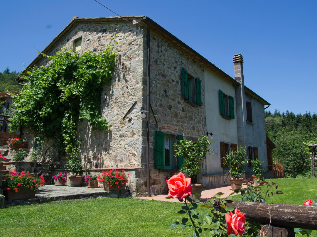 Farmhouse Le Panche di Massimo Domini