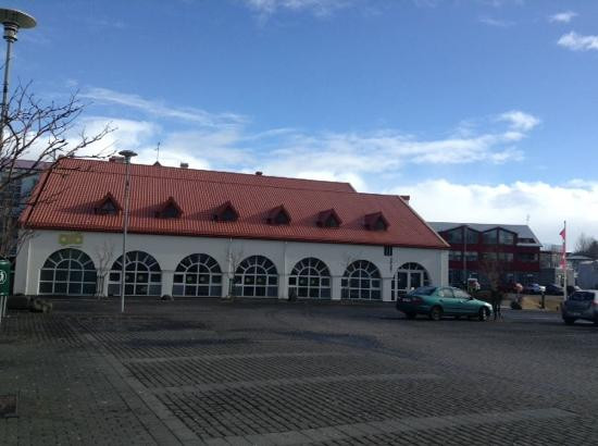 Hafnarborg The Hafnarfjordur Centre of Culture and Fine Art-哈夫纳夫约杜尔必去景点