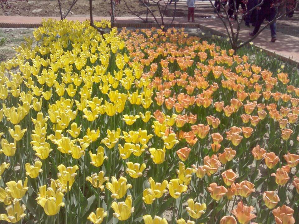 石家庄植物园-鹿泉市必去景点