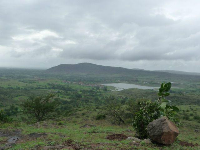 Dandoba Hills Forest Preserve景点图片