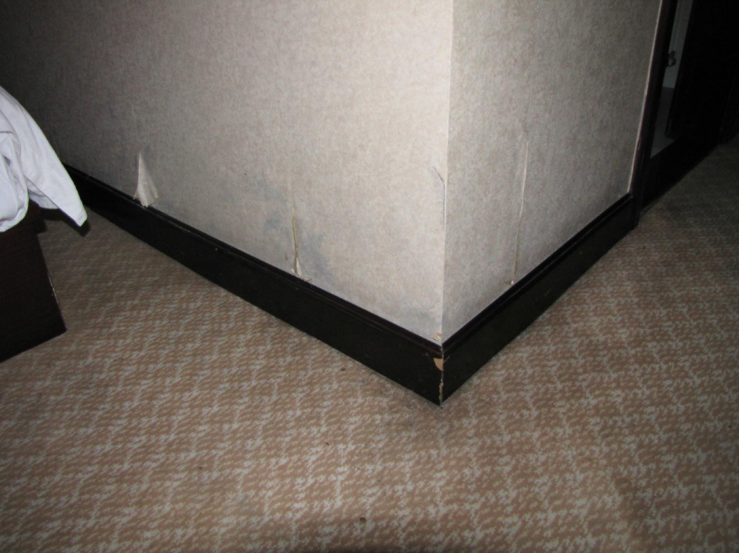 西凉大酒店主图