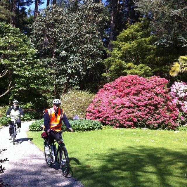 GrassRoutes Electric Bike Adventures-莱特肯尼必去景点