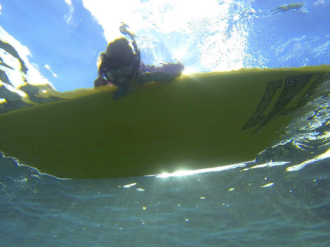 Maui SUP Boards-拉海纳必去景点