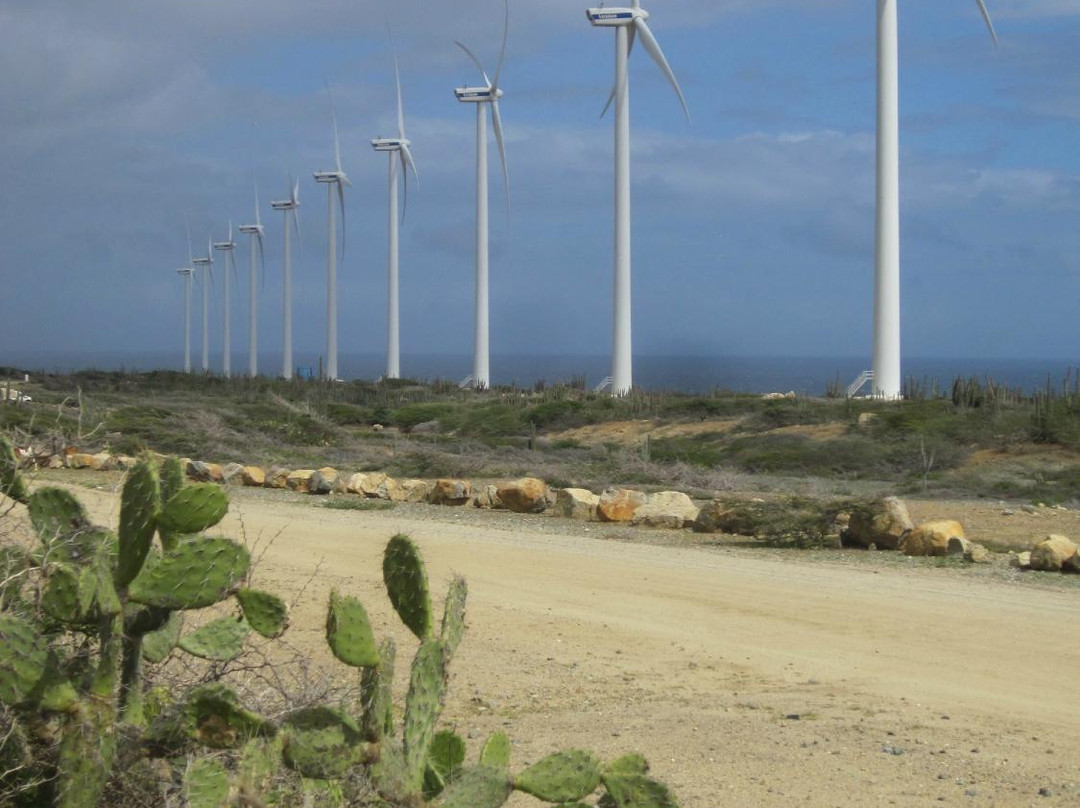 Private Island Tours Aruba-奥腊涅斯塔德必去景点