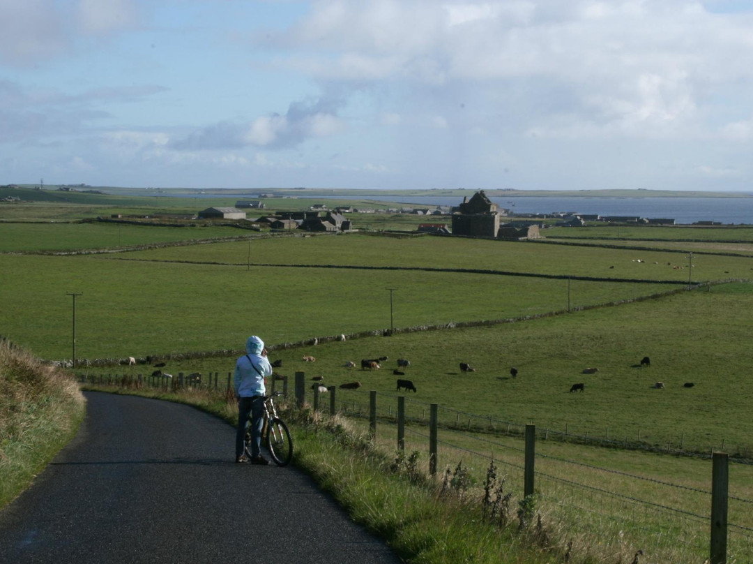 Loganair Orkney Island Sightseer Flight-柯克沃尔必去景点