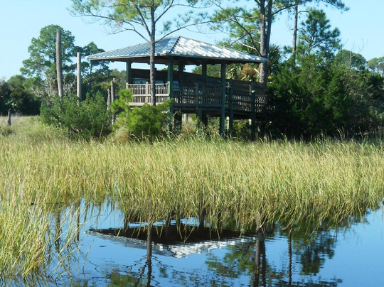 Castaway Island Preserve-杰克逊维尔必去景点