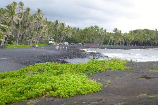 Roberts Hawaii-火奴鲁鲁必去景点