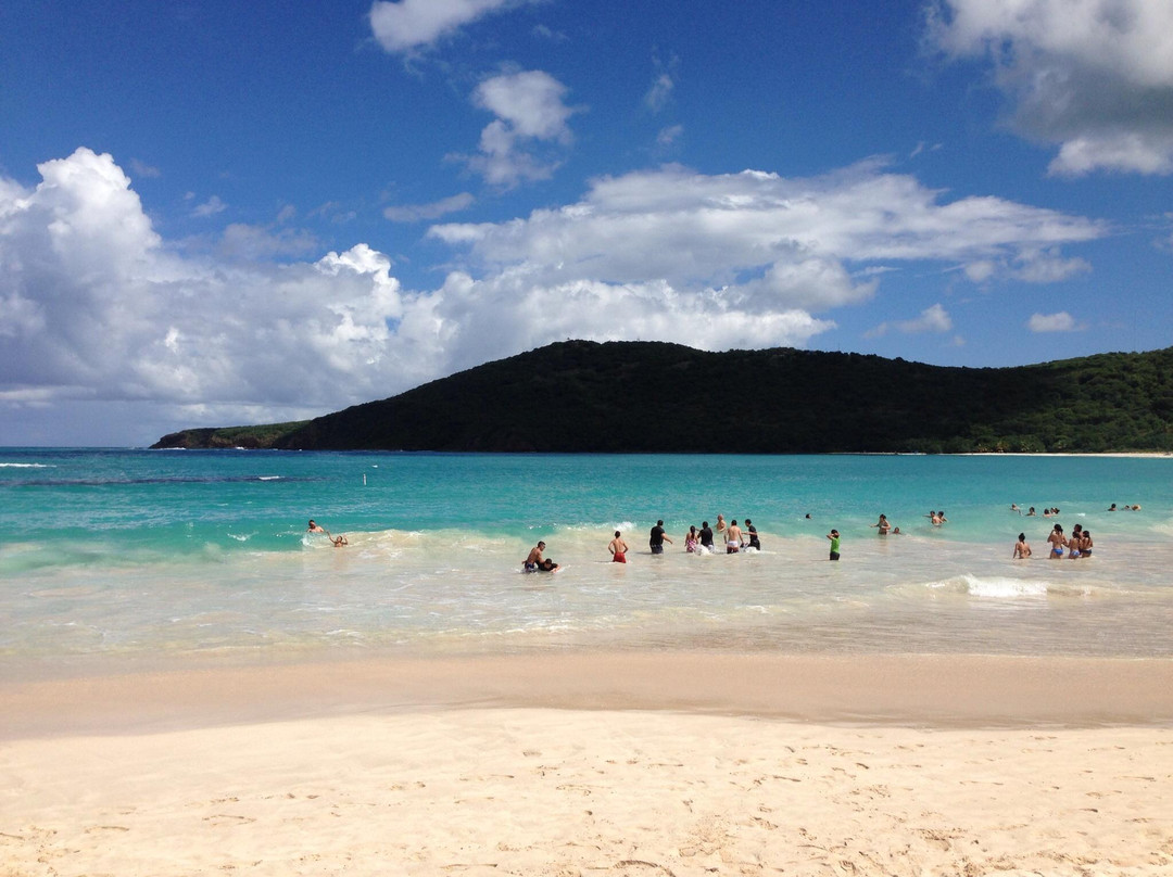 Culebra National Wildlife-库莱布拉岛必去景点