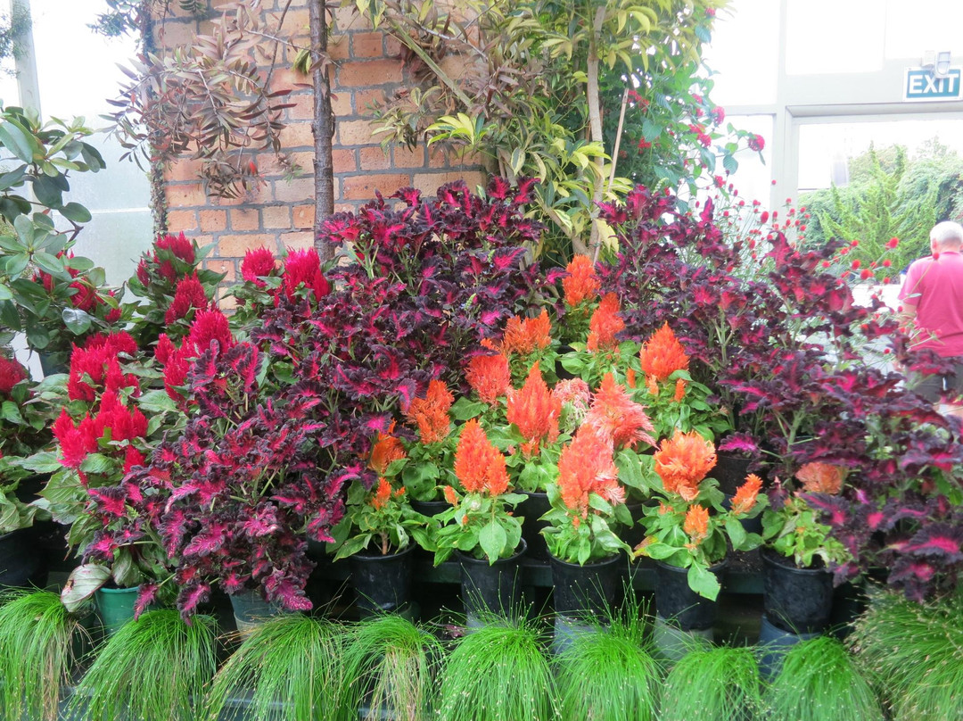 阿尔伯特王子国家公园-奥克兰中心地区必去景点