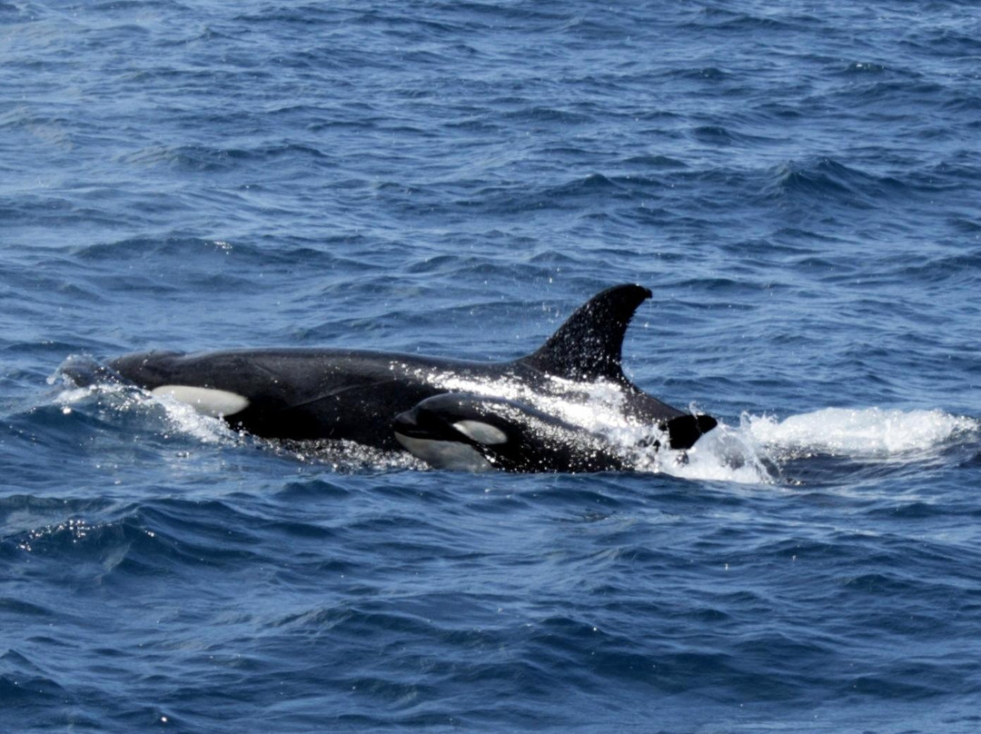 Huatulco Dive Center-瓦图尔科必去景点