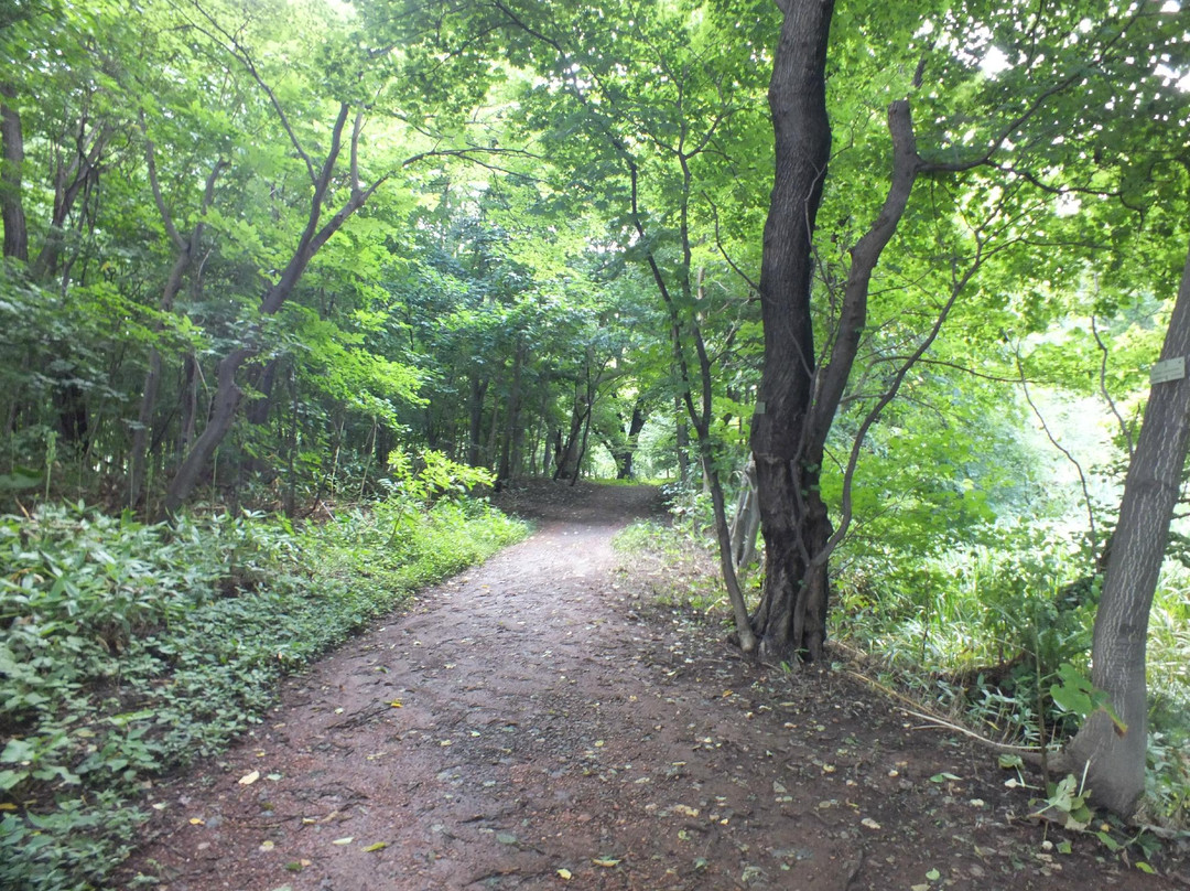 北海道大学植物园-札幌市必去景点
